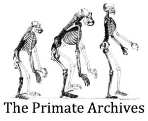 PrimateArchives2